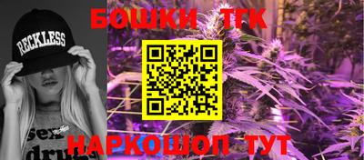 спиды Дубна
