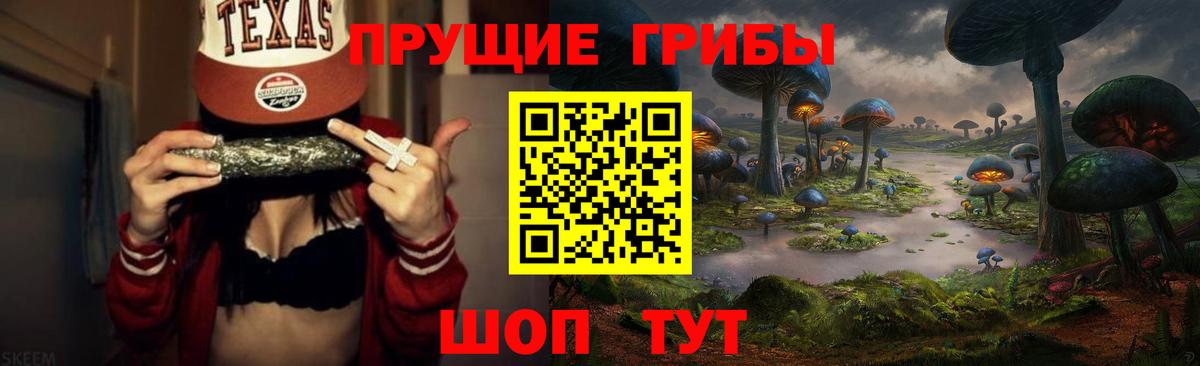 Псилоцибиновые грибы Cubensis Мыски